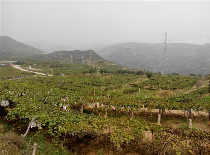 拔奎村農村供水設備